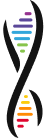 Stylized DNA double helix with rainbow-colored bars on a black background.