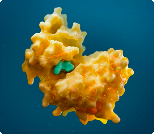 3D model of a yellow enzyme with a teal molecule bound to it, on a blue background.
