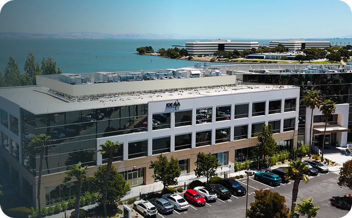 Modern office building with glass windows near a waterfront, palm trees, and parked cars.