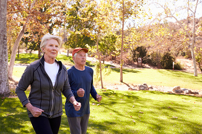 Two older adults walking together in a sunny park with green grass and trees.